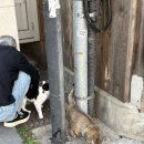 정다움약국 이미지