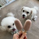 프프프 스토어 이미지