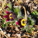 향양3리 이미지