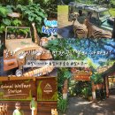 (주)브로강 | 발리 아이와 가볼만한곳 발리 사파리&amp;해양공원(Bali Safari &amp; Marine Park)