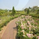 계곡휴양림 민박 이미지