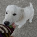 성산홍마트 2 이미지