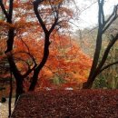 대한환경 행정사 이미지