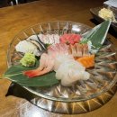 일일시호주 이미지