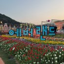 이솝 유치원 | 에버랜드 워킹사파리 막차 실패하고 온 후기 튤립축제