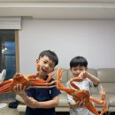 도니독 이미지