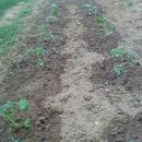 청운농장 이미지