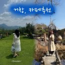 허브팜 | [거창/카페] 거창 숨어 있는 인생샷 카페 : 허브팜민들레울, 해플스팜사이더리(내돈내산)후기
