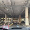 사랑이 가득한 집 | [인천]송도 브런치 느낌 딤섬 맛집 엘벧엘 런치 재방문 후기