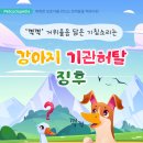 채움동물병원 이미지