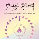 [신간도서] 불꽃 활력 / 몰리 말로프 / 알에이치코리아 이미지