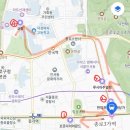 루시아j | [W#3] 반지원정대｜종로 웨딩밴드 투어① 꼬모다이아몬드