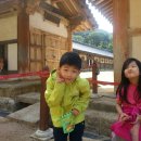 삼정야영장 화장실 이미지