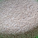 꽃무지어린이집 이미지