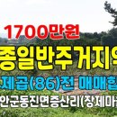 동진면사무소 이미지