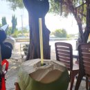 서하목장 이미지