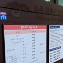 남해여행 첫 날 하동 코리아 짚와이어, 아시아 최장길이 얼마나 무서운지 감도 안옴