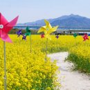 낙동강체육공원 1번주차장 이미지