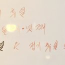 설천왕족발