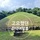 선덕여왕릉 화장실 | 고요하고 적막했던 선덕여왕릉과 시대 업적