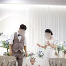 알파 다산블루웨일 | 돌끝맘/다산 파티드리체 돌잔치 후기(베이비 파스텔 남양주 돌잔치 스냅)