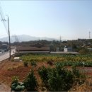 묘도1길 이미지