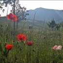 필부서비스 이미지