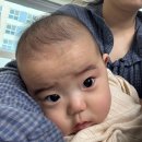 팔팔대리점 | 봄 잘가고~ 여름 어서오고...