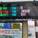 양문1리터미널 버스정류장(41388) 이미지