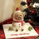 멍글(mongle) 이미지