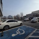 청당동 필라테스 베이직 2주 운동 후기
