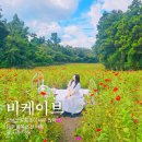 제주하늘바람 | 제주 조천 카페 비케이브 방문 후기 혼자가도 좋은 포토존 카페