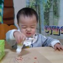 크레아트 이미지