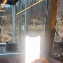 페츠베리머치 카페 이미지