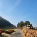 뉴스프링빌골프장 이미지