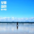 대천해수욕장 국민여가캠핑장(1지구) | 보령 대천해수욕장 차박 여행 피크닉 당일치기