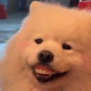 가치로아