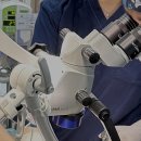 플러스동물의료센터 이미지