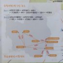 뿌리깊은나무박물관 | 2) - 뚜벅이의 사진 폭탄 터지는 여행 (낙안읍성, 뿌리 깊은 나무 박물관, 순천 국가 정원, 순천만 습지)