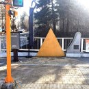 옐로카펫 이미지