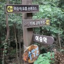 이승이오름주차장 네이버블로그