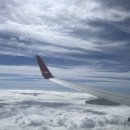 레드향 민박 | [제주도 여행] 1일차~5일차 일정