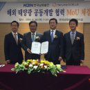 남동태양광발전소 이미지