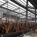 바우농장2 이미지