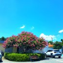 웅포면행정복지센터 이미지