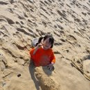 북분대로 이미지