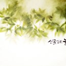 선물같은 하루 이미지