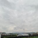 시아네민박 이미지