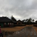 온평리-12 이미지