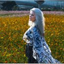 2025 0929 여행동호회 구리 코스모스벙개 이미지